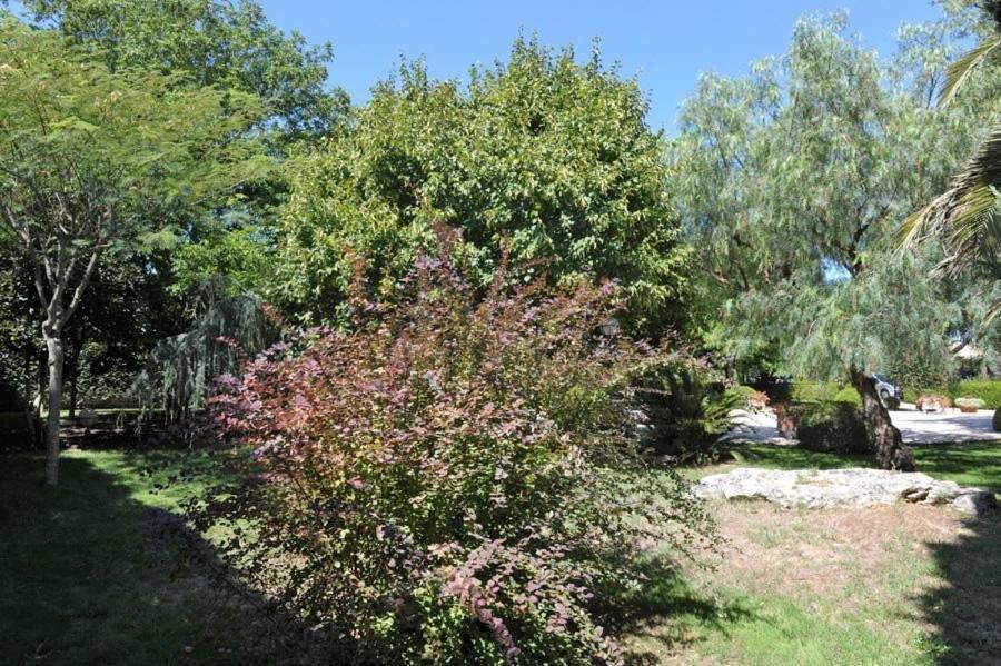 Hotel Svevo Gioia Del Colle Dış mekan fotoğraf